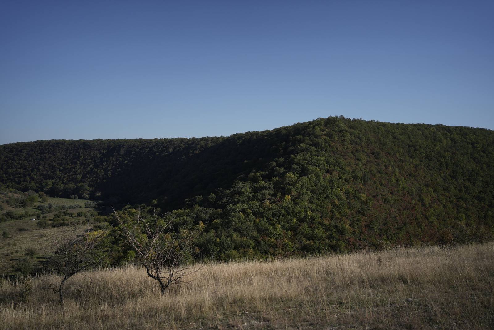 The wooded hill in the meander, with dry grass and a bare tree in front