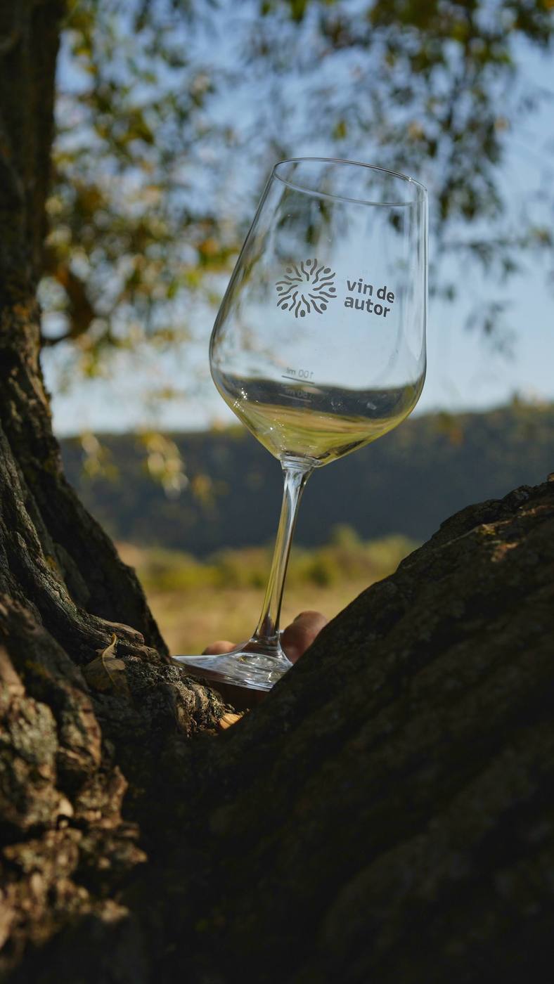 An empty glass, held in the fork of the tree, with the valley behind